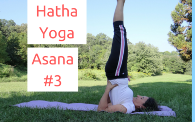 [Yoga Émotions] Postures: SARVANGASANA, la Posture sur les Épaules