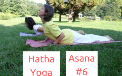 [Yoga Émotions] Postures: BHUJANGASANA, le Cobra